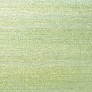 c25 2165