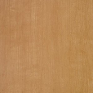 RH-9209